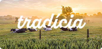 tradícia
